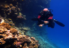 Plongée Hurghada stage niveau