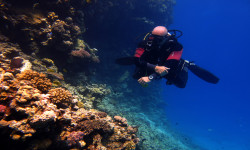 Plongée Hurghada stage niveau