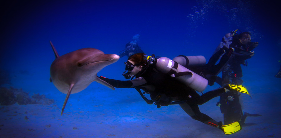 plongée à hurghada