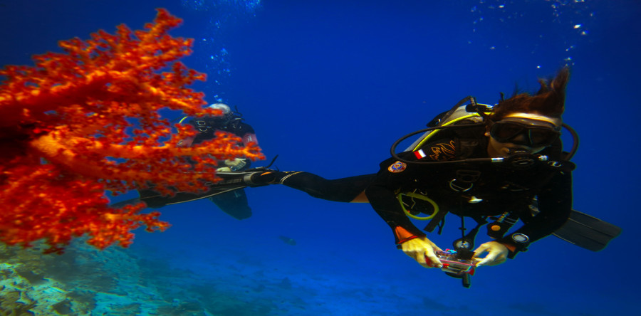Plongée Hurghada
